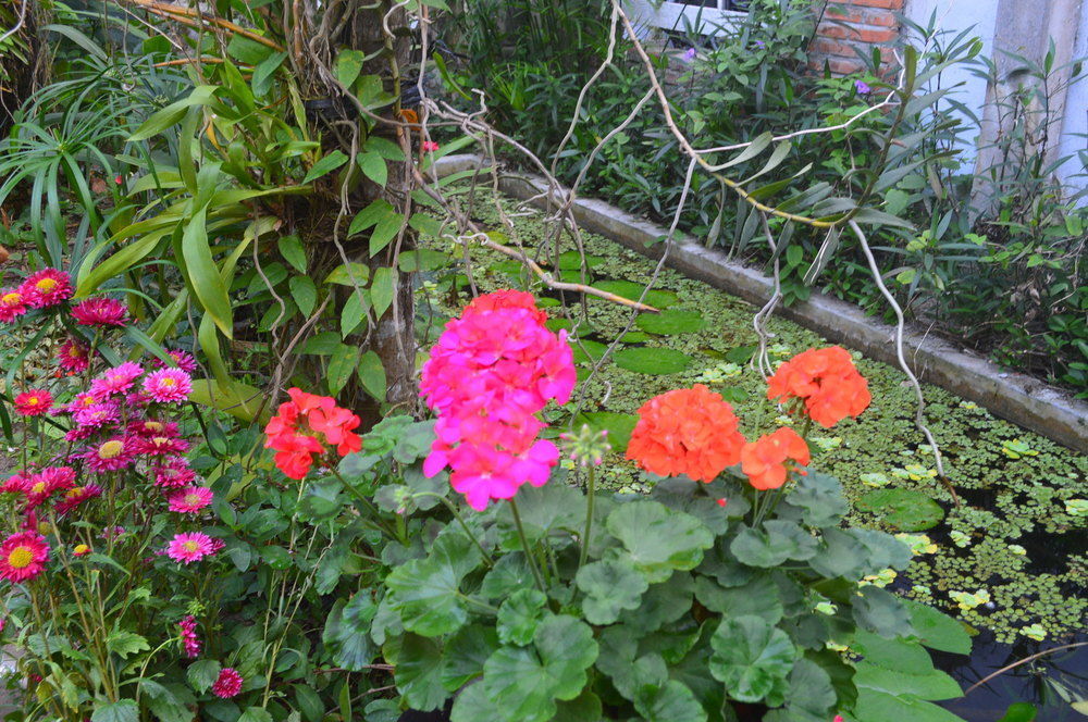 The Hoi An Orchid Garden Villas Luaran gambar
