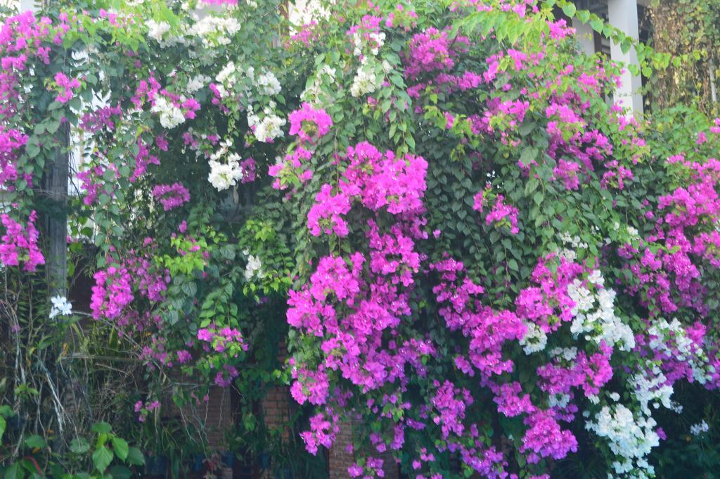 The Hoi An Orchid Garden Villas Luaran gambar